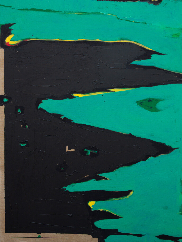 Koen van den Broek, painting, artist, exhibition, Belgium