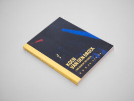 Koen van den Broek, painting, artist, exhibition, Belgium